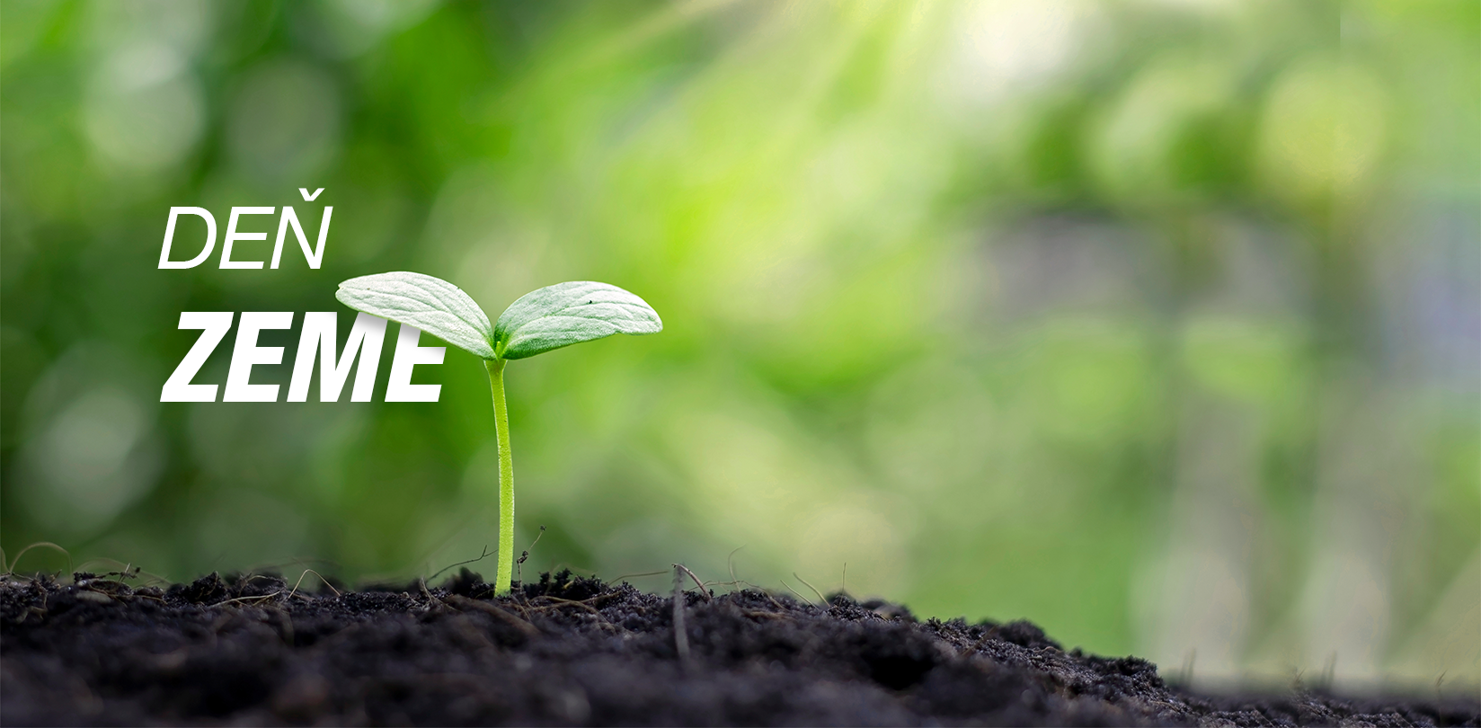 Banner pre akciu deň Zeme, zelené pozadie, malá rastllina